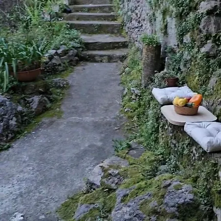 Charming 1bed In Historic Centre Apartment *