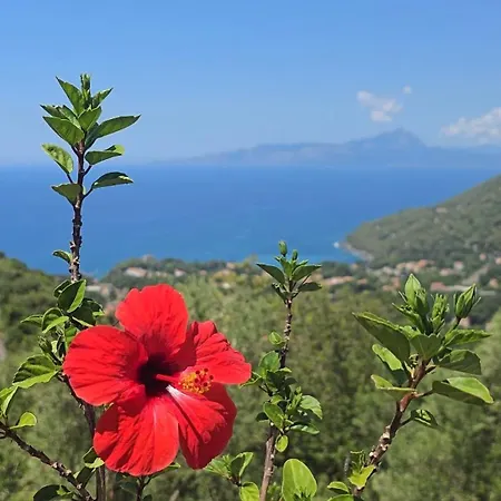 Charming 1bed In Historic Centre Apartman *