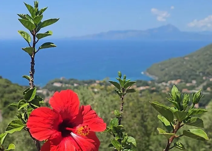 Charming 1bed In Historic Centre Apartamento *