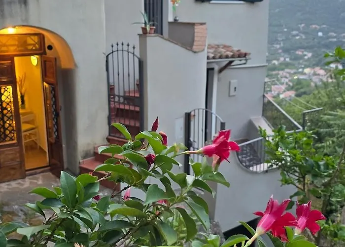 Charming 1bed In Historic Centre Apartamento *